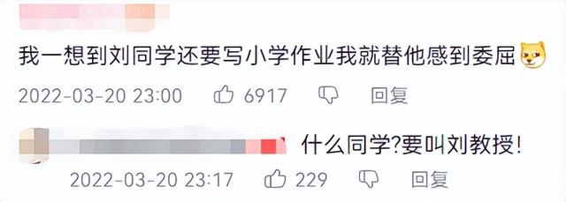 网站内搜索代码（百度站内搜索代码）