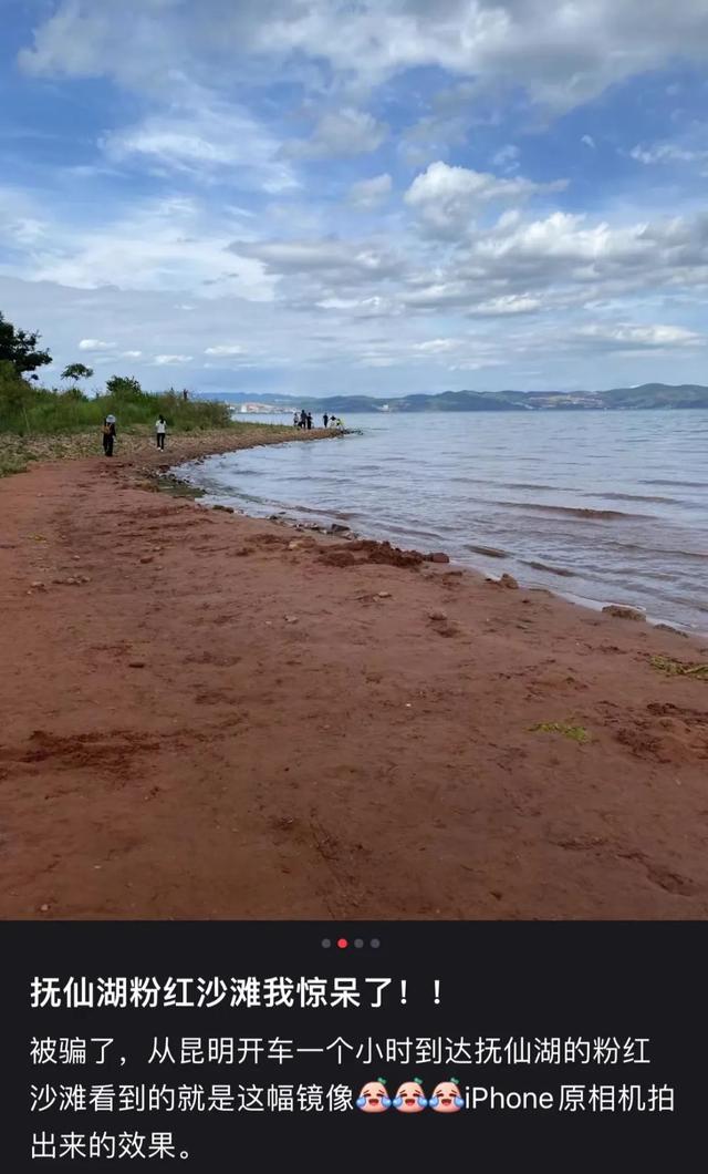 种草是什么意思网络用语,(种草是什么意思网络用语,怎么用)